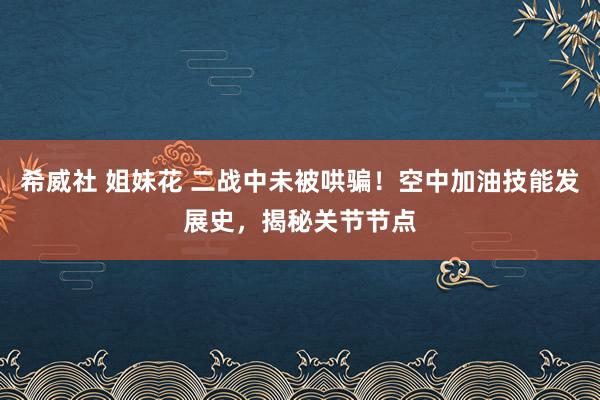 希威社 姐妹花 二战中未被哄骗！空中加油技能发展史，揭秘关节节点