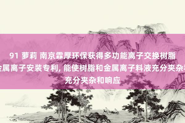 91 萝莉 南京霖厚环保获得多功能离子交换树脂负载金属离子安装专利, 能使树脂和金属离子料液充分夹杂和响应
