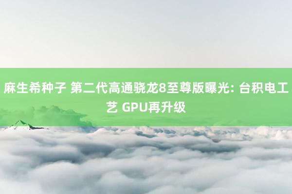 麻生希种子 第二代高通骁龙8至尊版曝光: 台积电工艺 GPU再升级